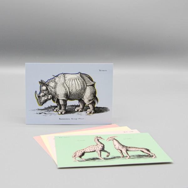 Postkarte Nashorn